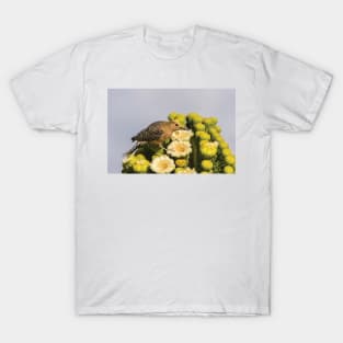 Male Gila Woodpecker Feeding On Cactus Blossom Funny T-Shirt